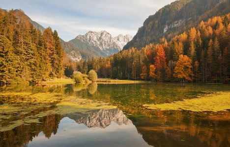 Pogled na Logarsku Dolinu