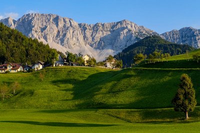 Alpska livada