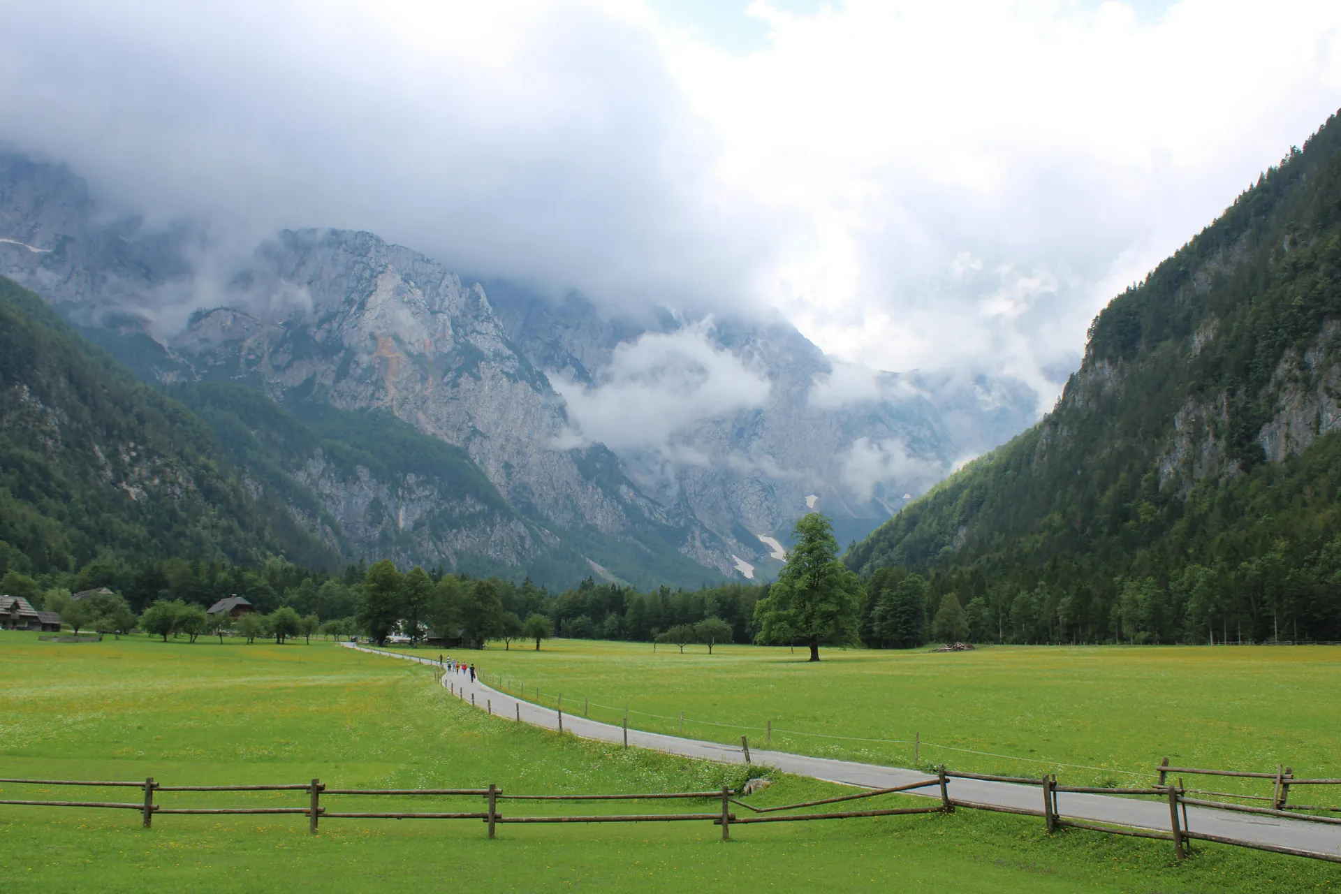 Beautiful mountain valley in Logarska Dolina, Slovenia with lush green fields and cloudy peaks.