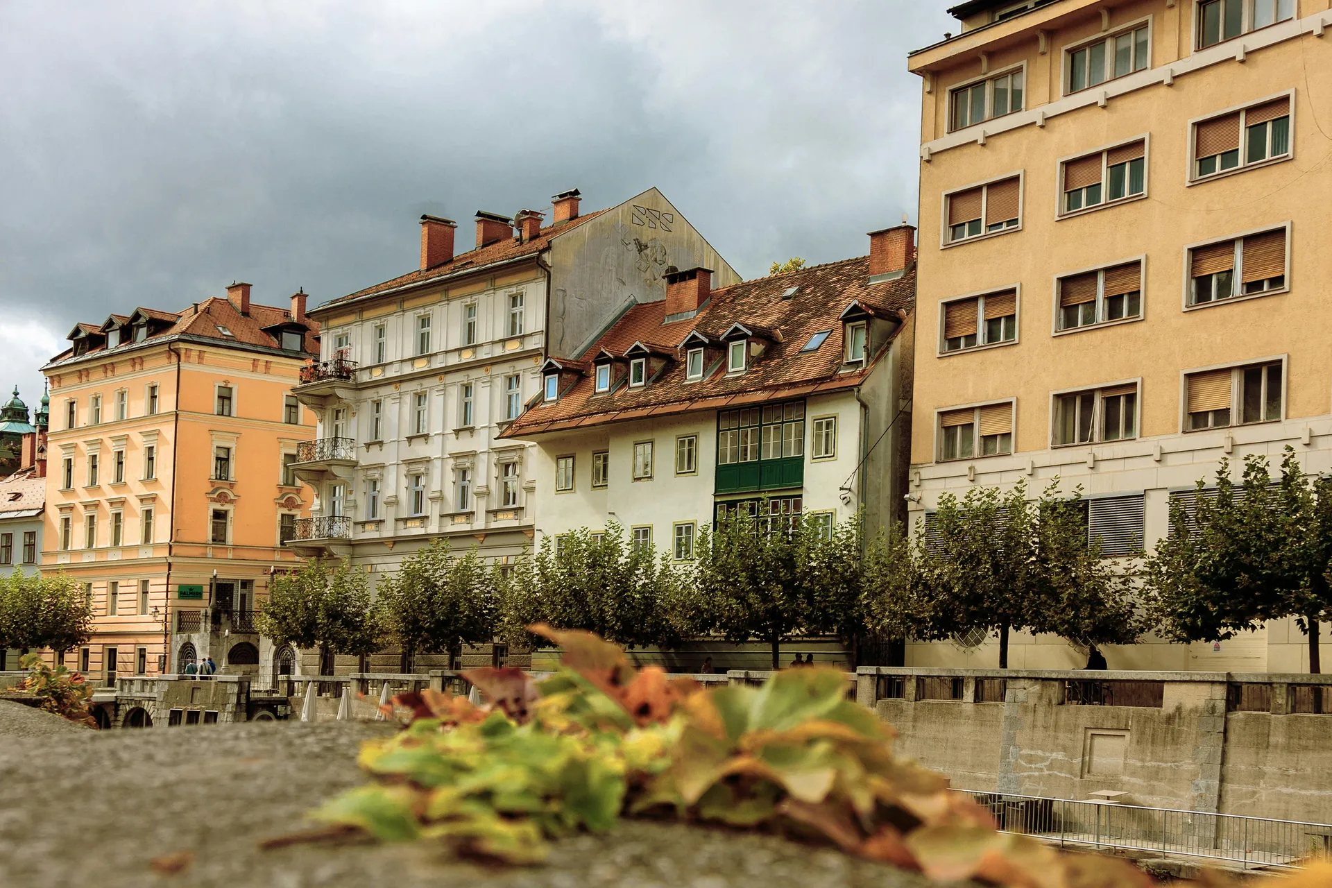 View of charming historical buildings in Ljubljana with autumn leaves in the foreground.